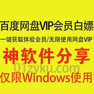 百度网盘VIP体验会员获取软件