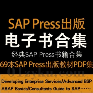 SAP Press出版书籍电子版PDF资源
