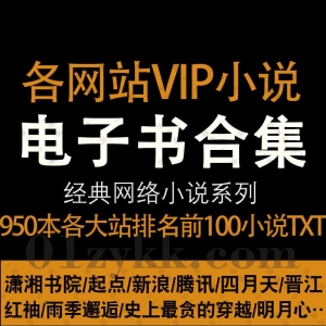 各大网站VIP小说TOP排行榜小说TXT电子版资源