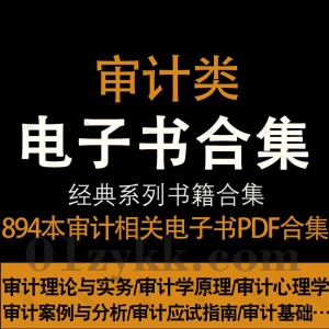 审计类书籍PDF电子版资源合集